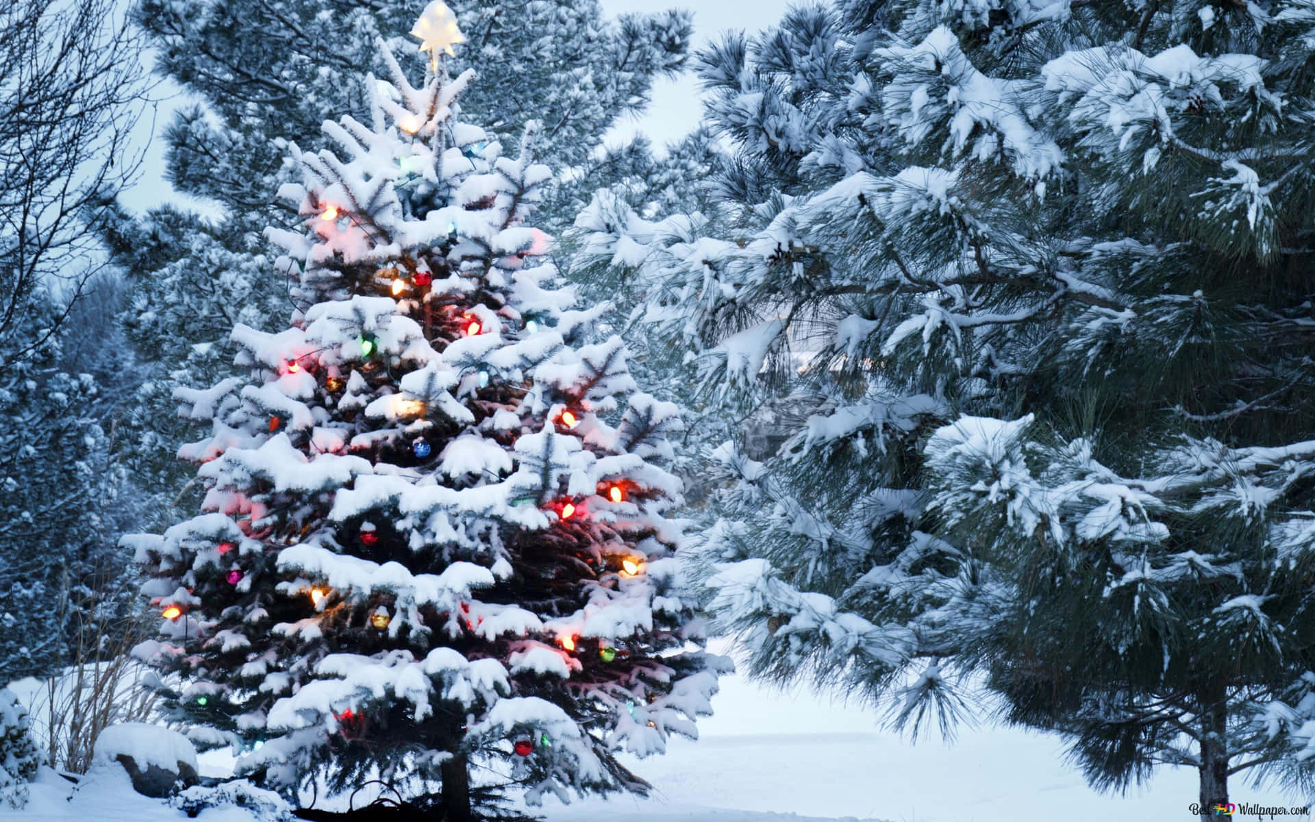 Enjoy the gentle snowfall of the festive Christmas season Description: Celebrate the holidays with a scene of white snow falling against a blue winter sky. Related Keywords: holiday, Christmas, snow, winter, festive, season, snowfall, blue sky Wallpaper