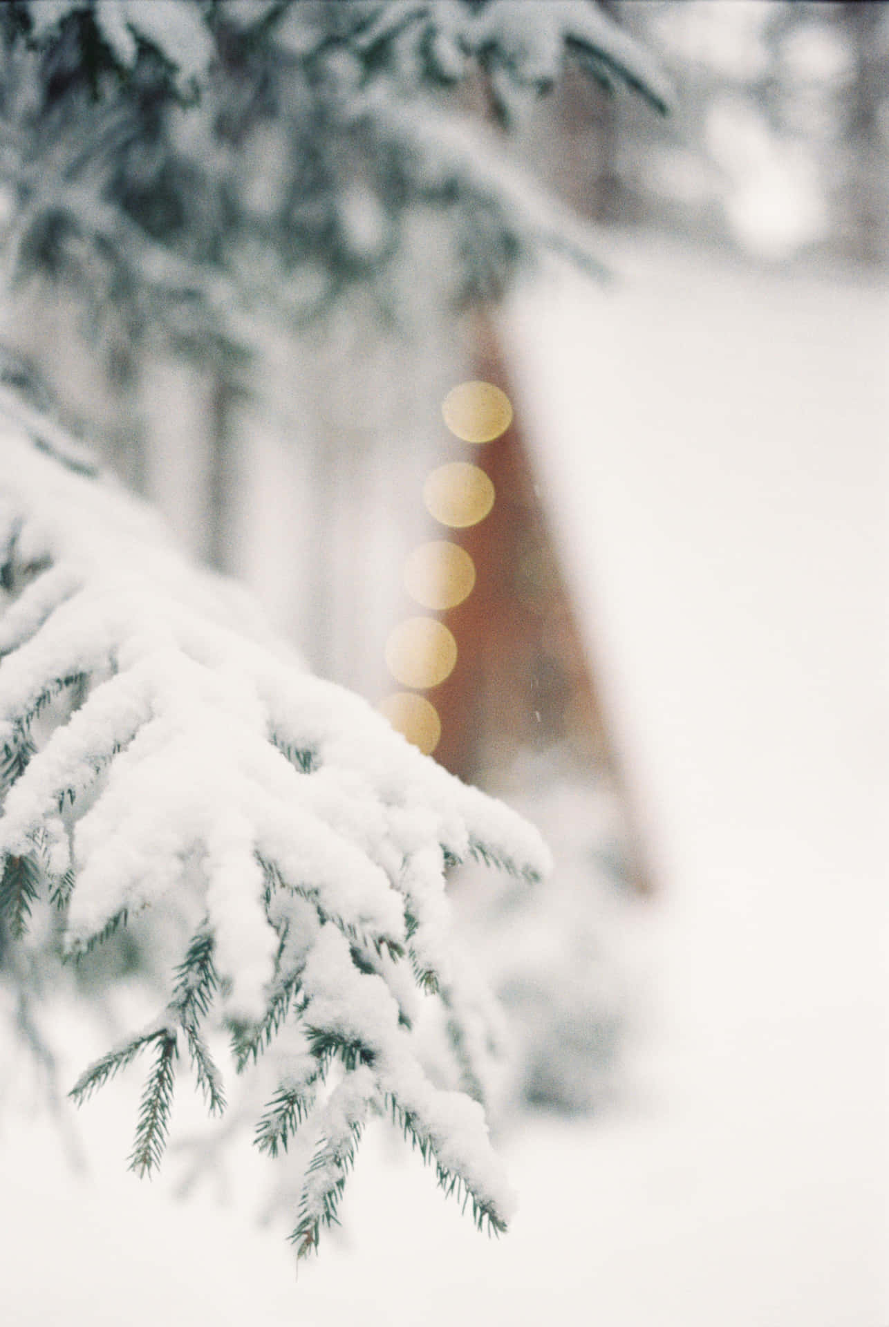 Disfrutade La Belleza De La Navidad Con Una Noche De Alegre Nieve. Fondo de pantalla