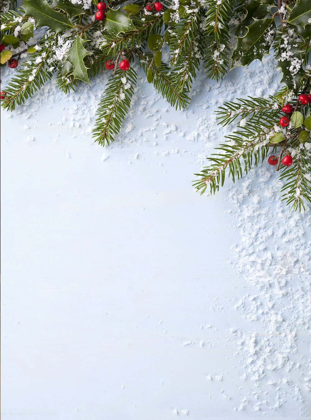 Christmas Snow And Holly Wallpaper