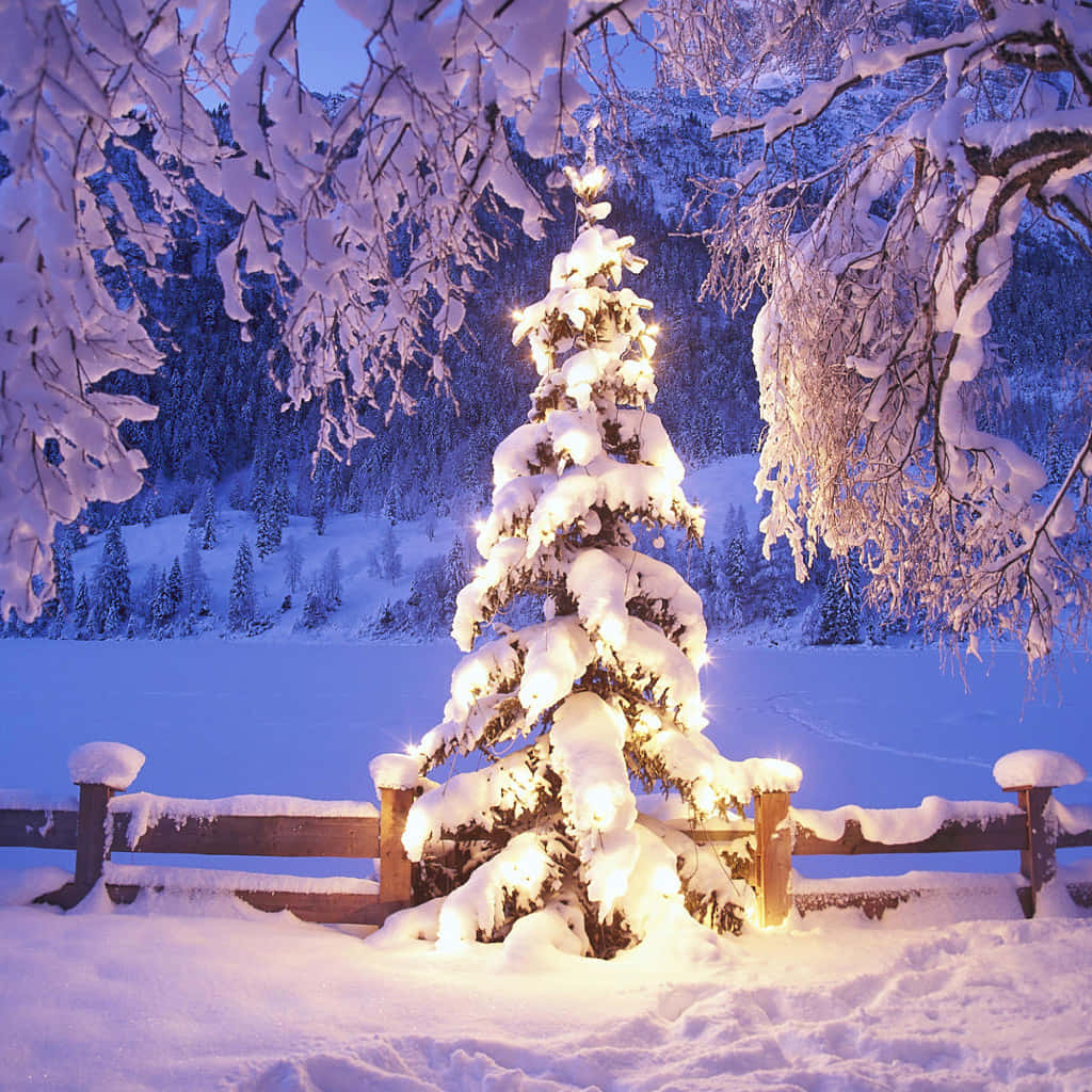 Enjoy a Winter Wonderland this Holiday Season!