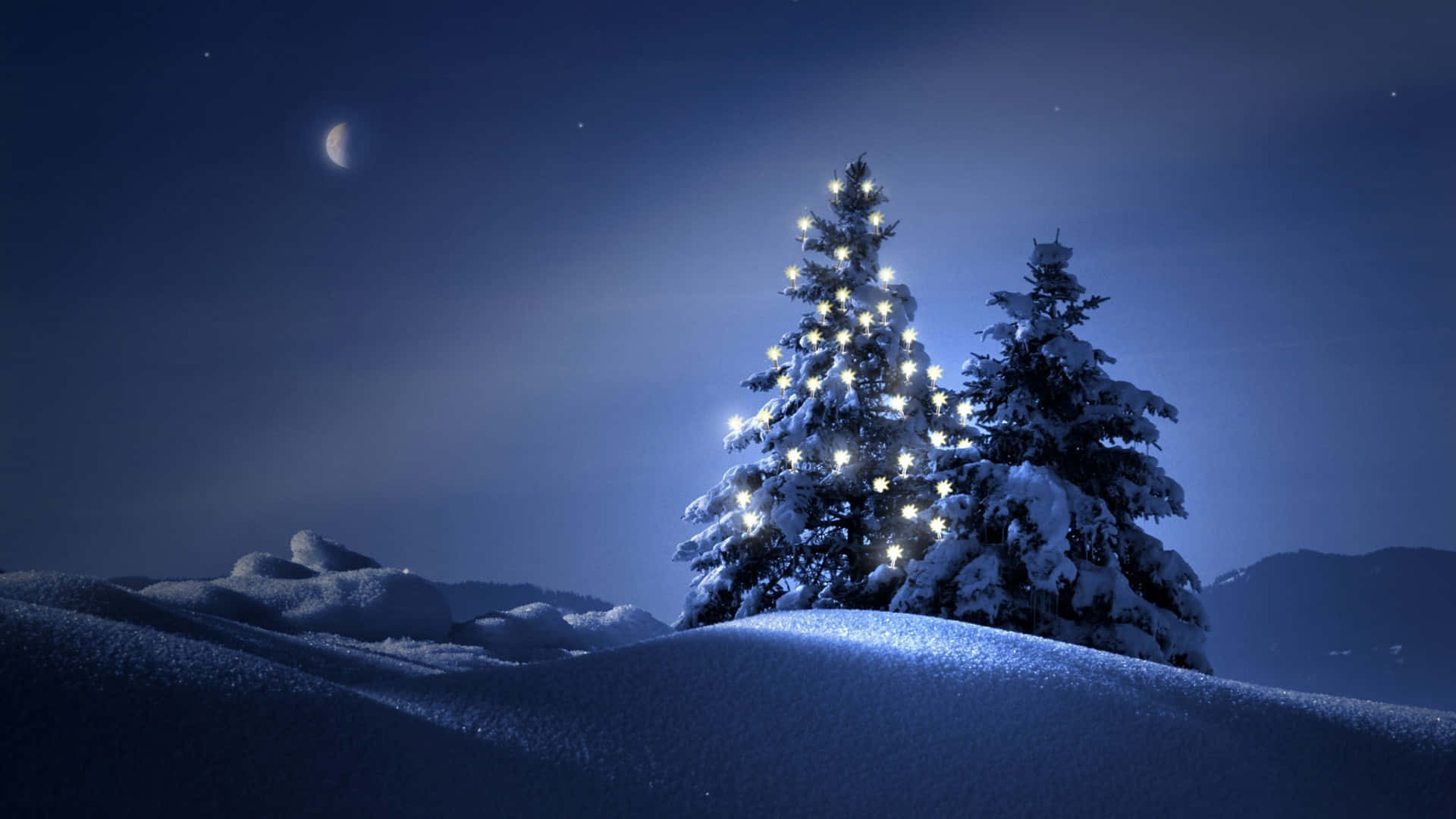 Landskabs jul træ Sne bjerg Baggrund.