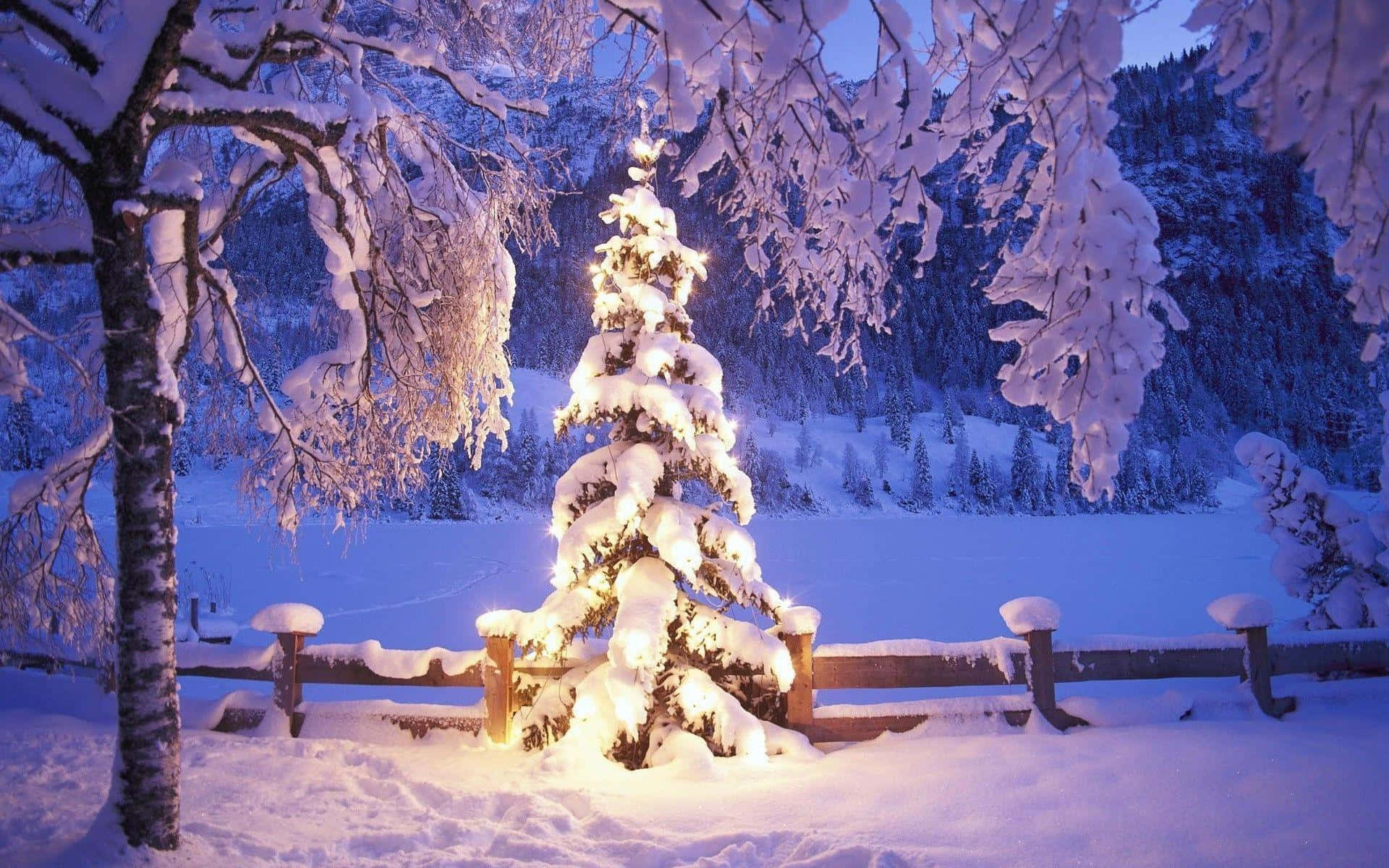 Ideade Un Árbol De Navidad Blanco Con Fondo De Nieve.