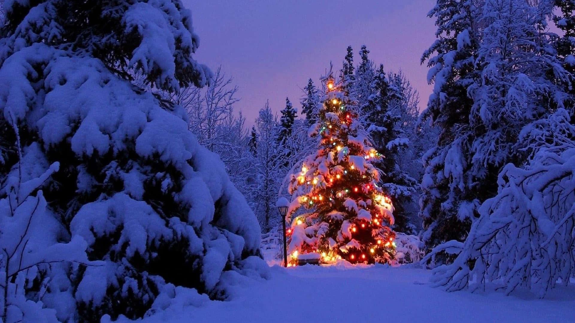 Fondode Pantalla De Paisaje Con Árbol De Navidad Con Luces Y Nieve.