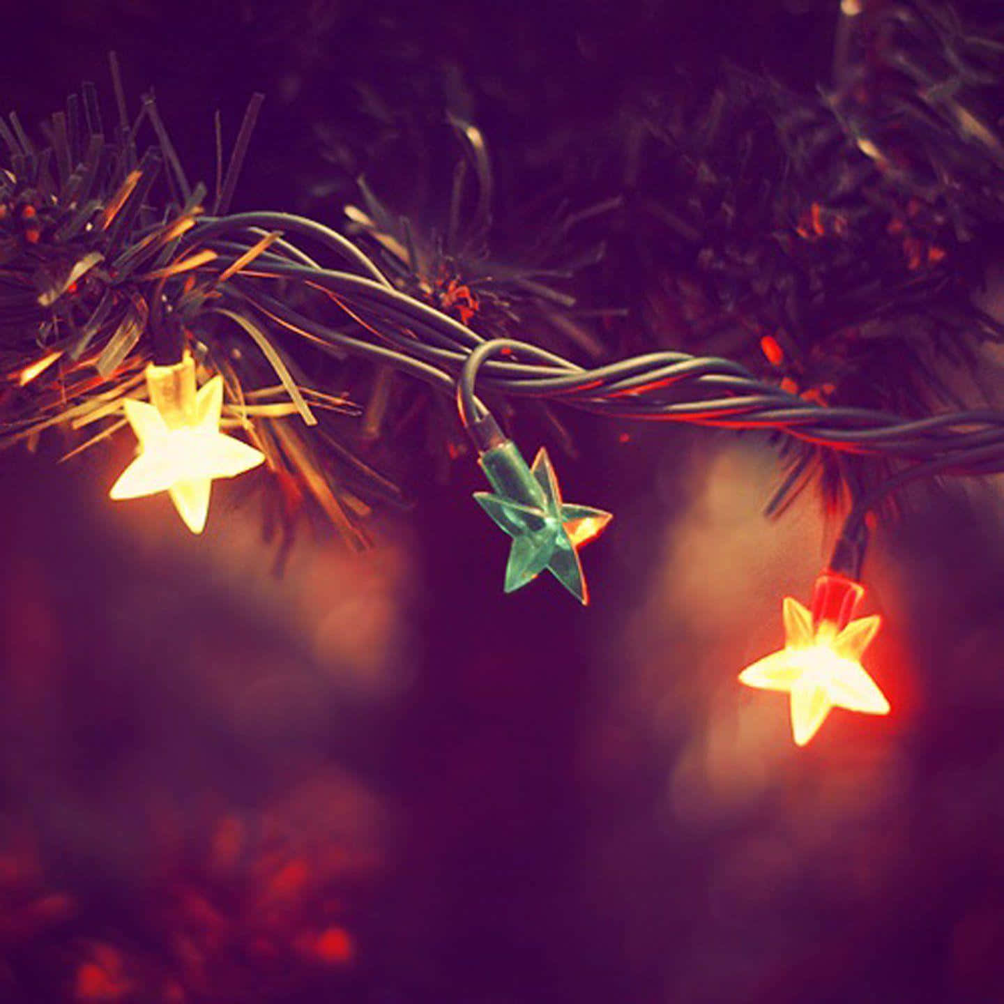 Let the twinkle of Christmas Star light up your home this holiday season. Wallpaper
