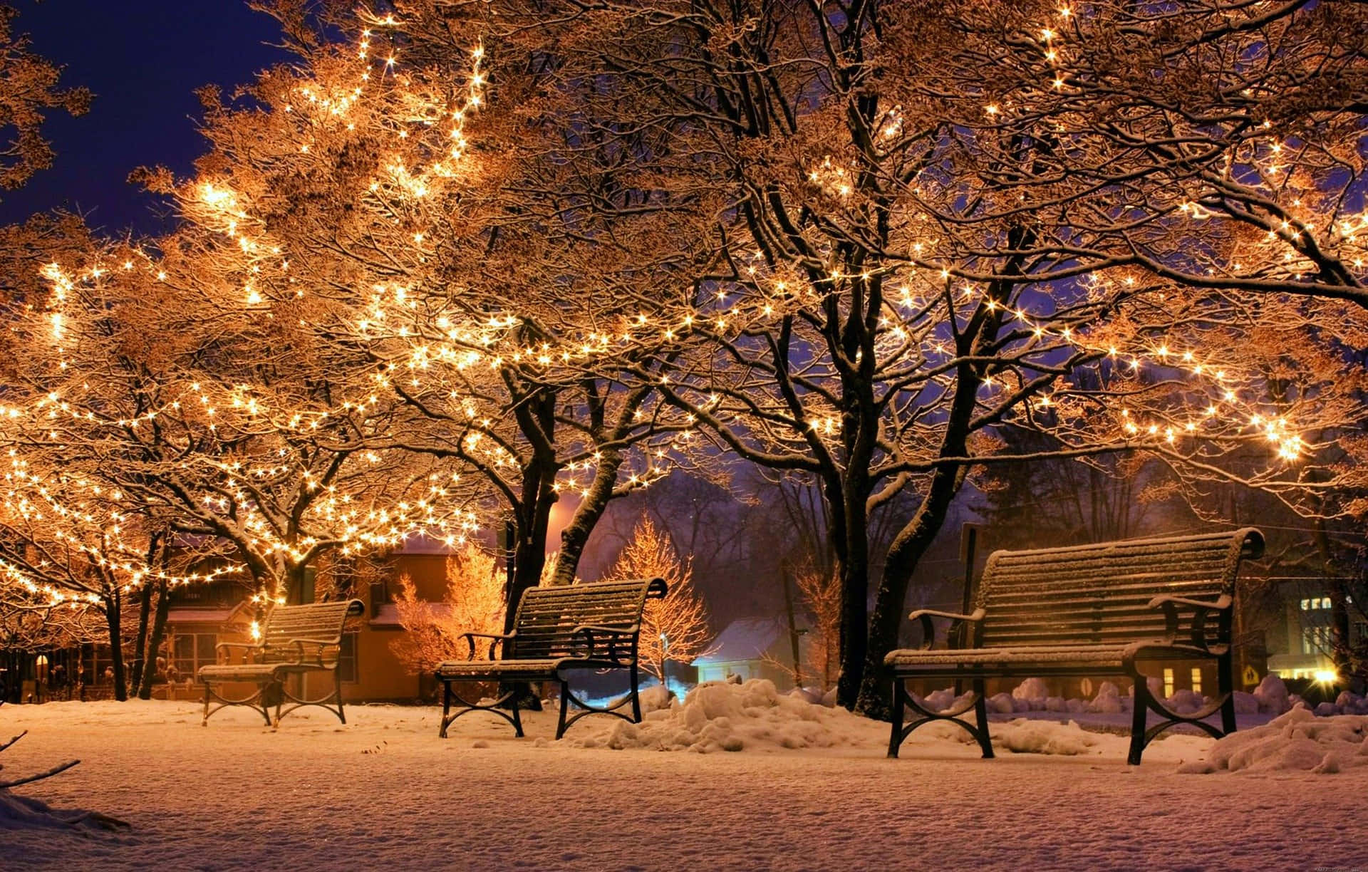 Outdoor Park With Fairy Lights Christmas Teams Background