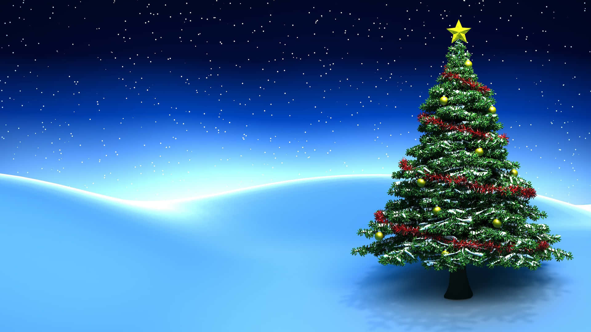 Celebrate the festive season with a Christmas Tree