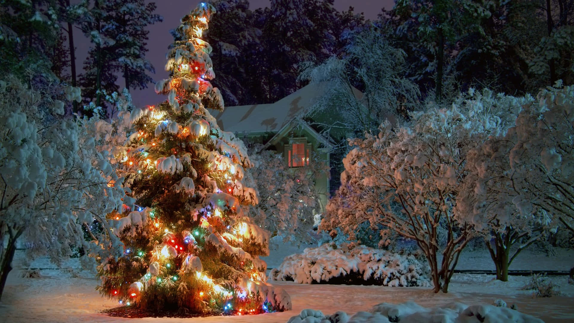 Julenär Säkerligen Fylld Av Glädje Och Cheer Med Detta Vackra Och Festliga Träd Som Dess Mittpunkt.