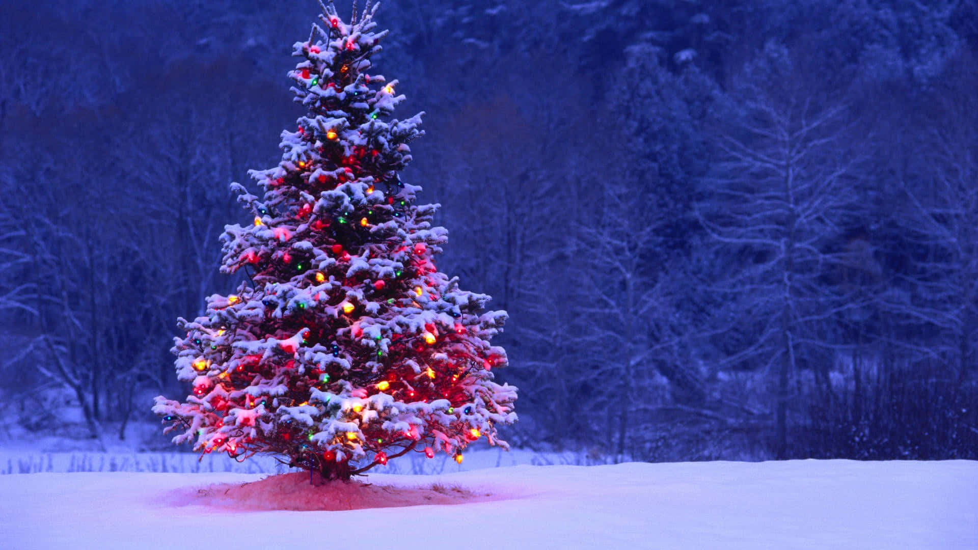 Fejrferien Med Et Festligt Juletræ.