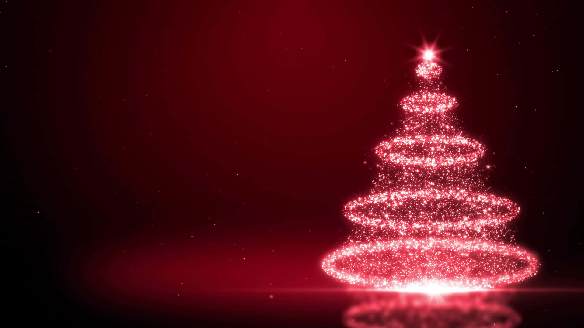 Colorful Christmas Tree lights up the night