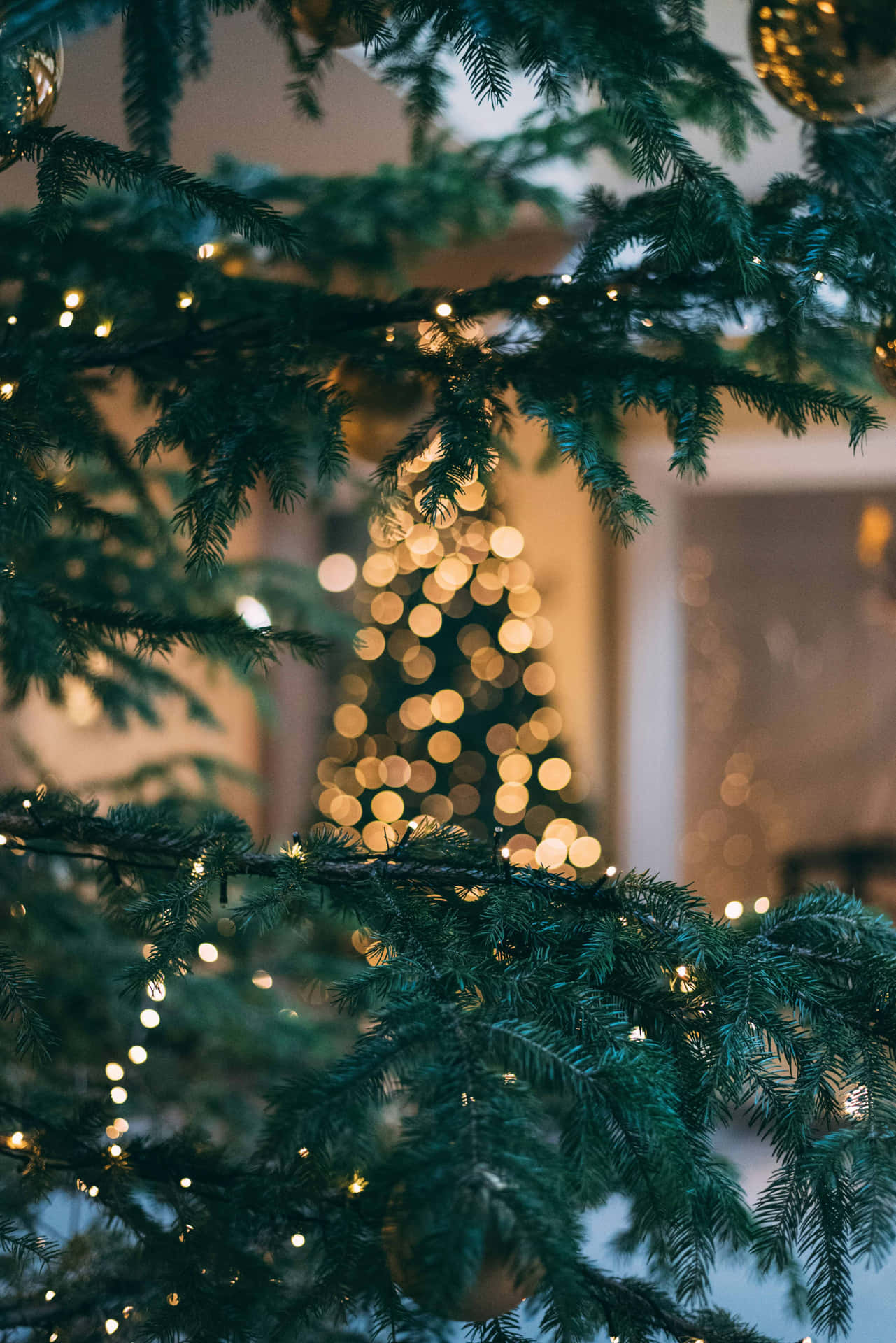 Christmas_ Tree_ Bokeh_ Lights Wallpaper