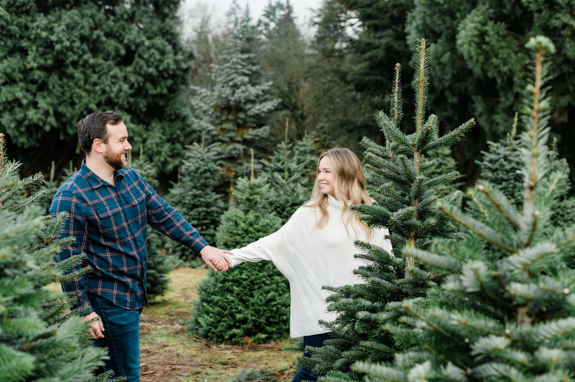 Couple Holding Hands Christmas Tree Farm Picture