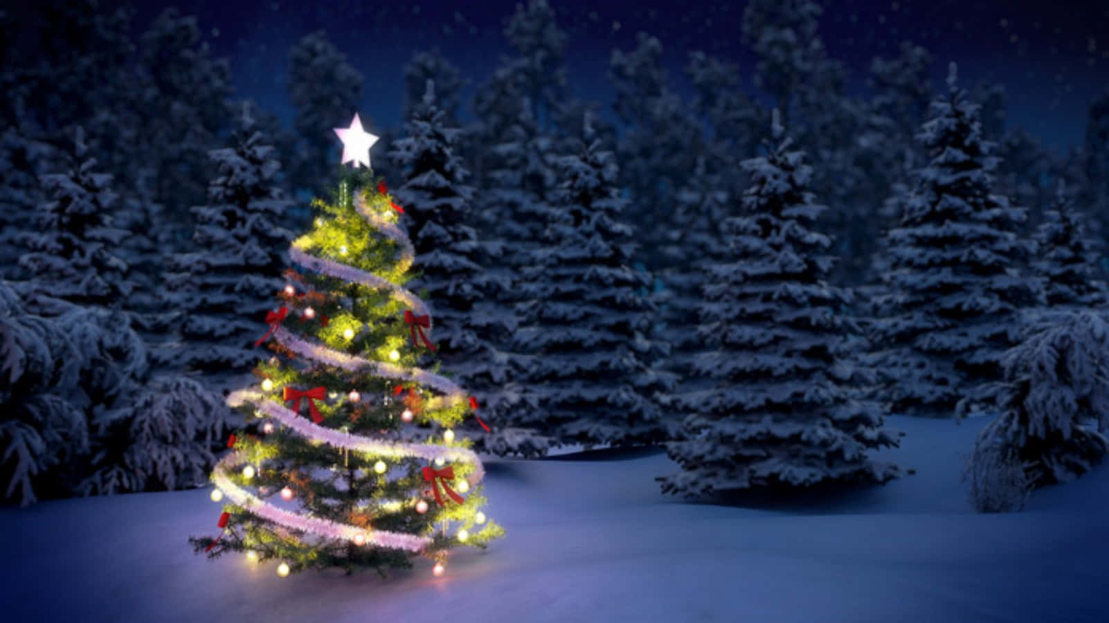 Imagende Una Granja De Árboles De Navidad Con Decoraciones.