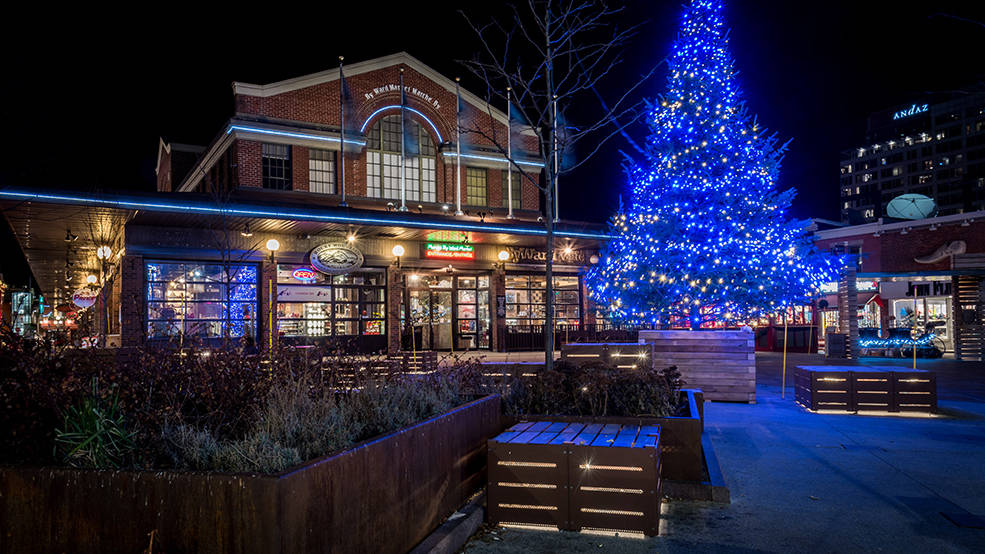 Christmas Tree In Byward Market Square, Ottawa Background