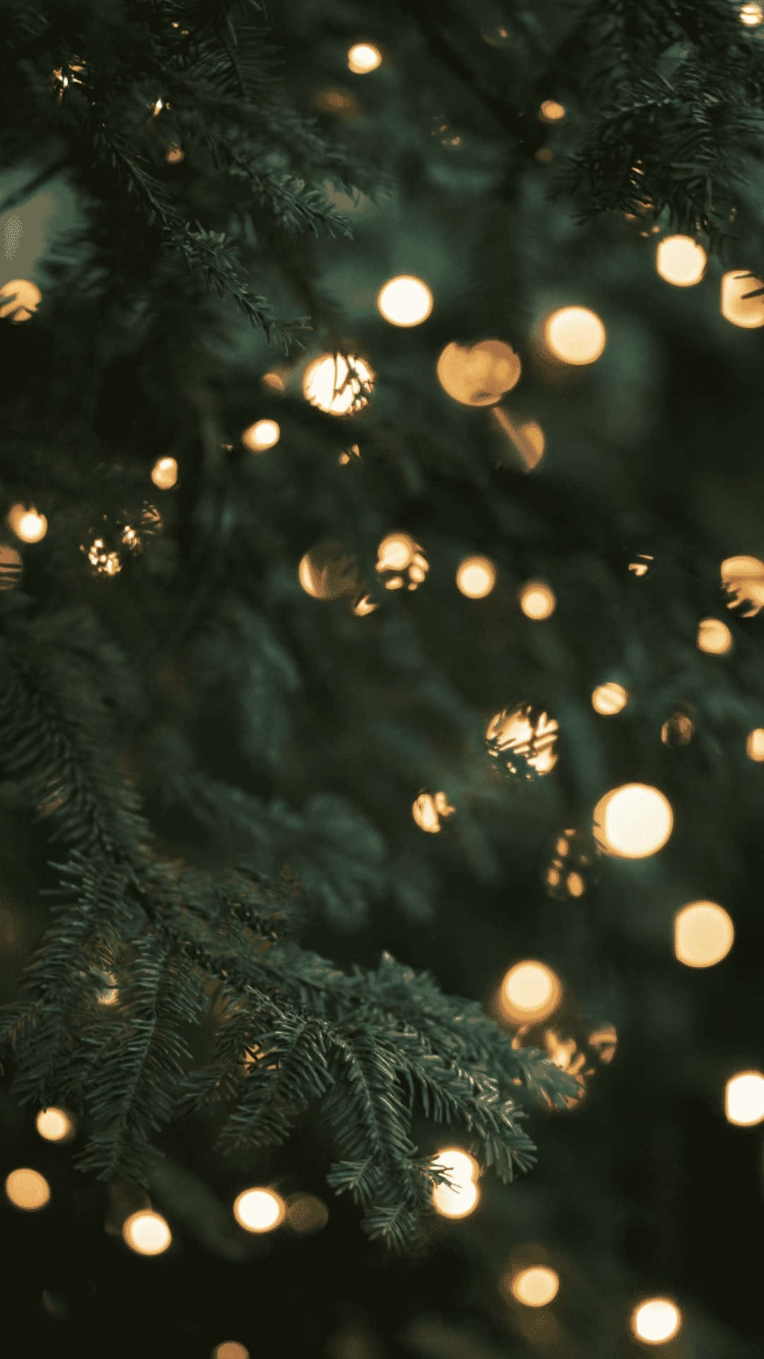 Christmas Tree Lights Bokeh.jpg Wallpaper