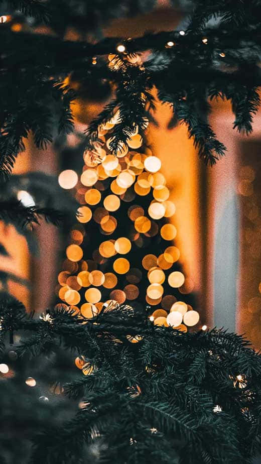 Christmas Tree Lightsi Phone Bokeh Wallpaper