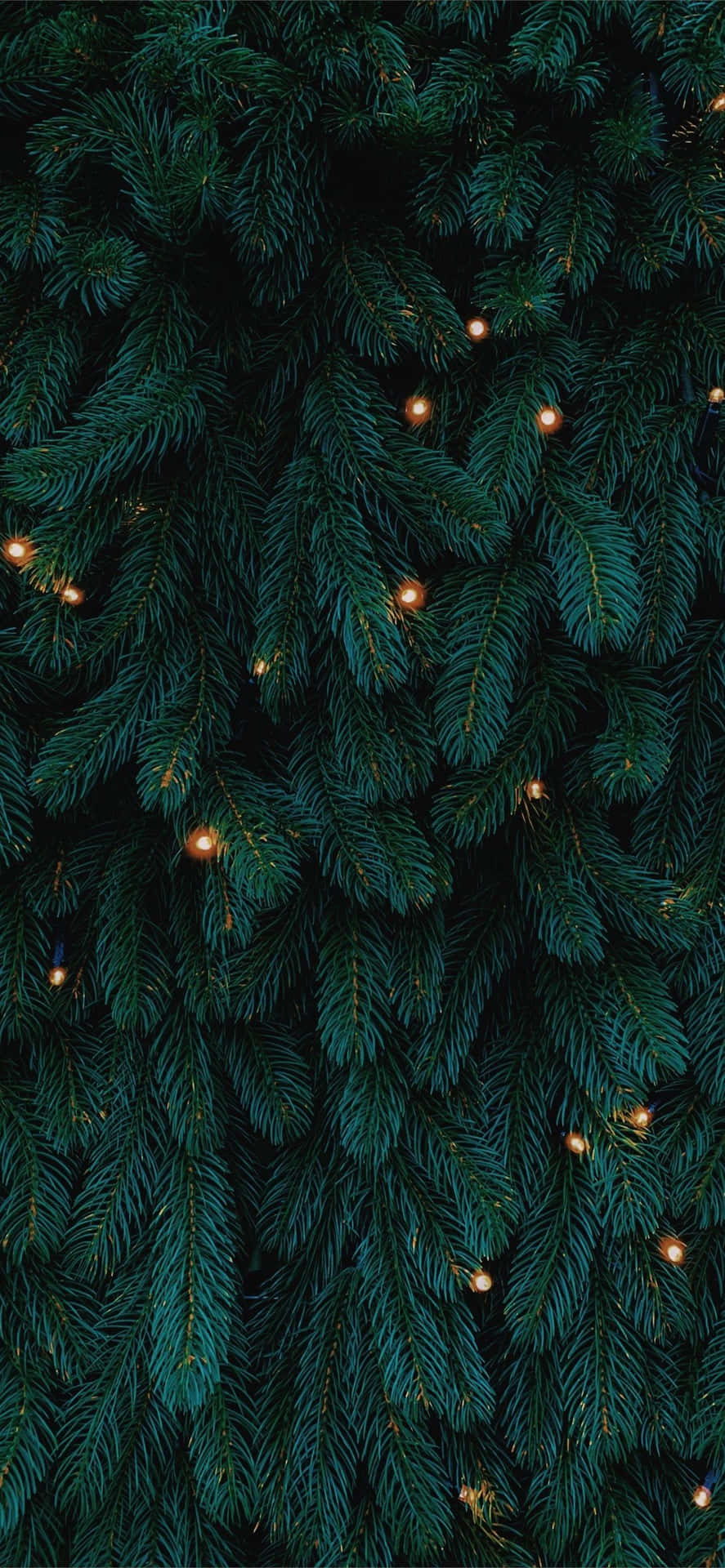 Christmas Tree Lightsi Phone Wallpaper Wallpaper