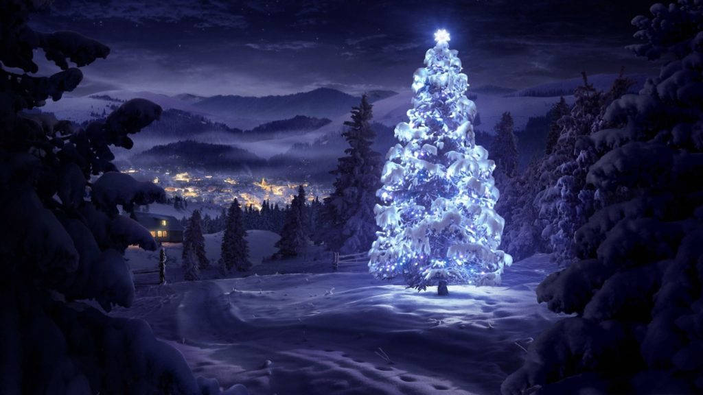 Christmas Tree Night 4k Desktop