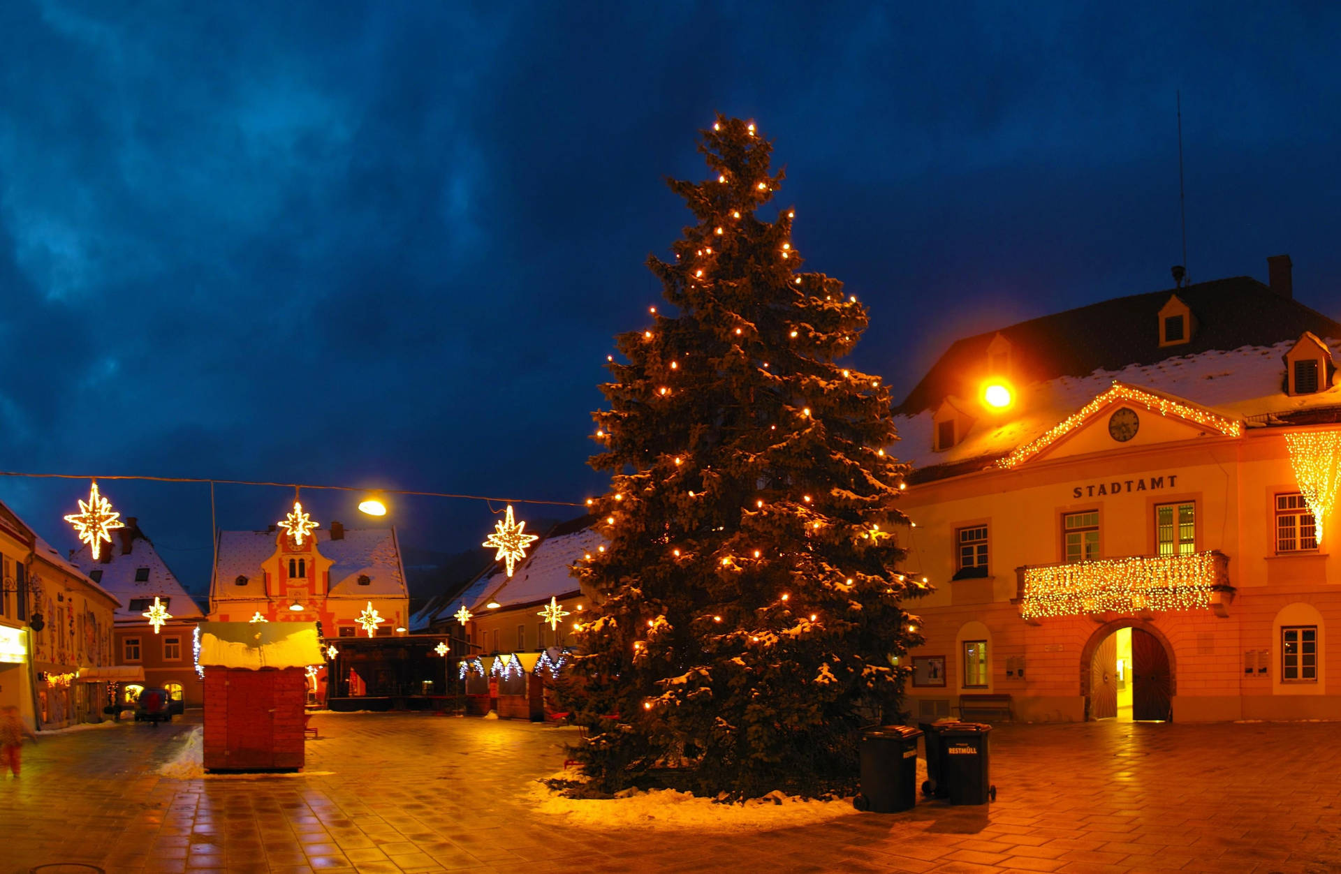 Christmas Tree On Paved Street