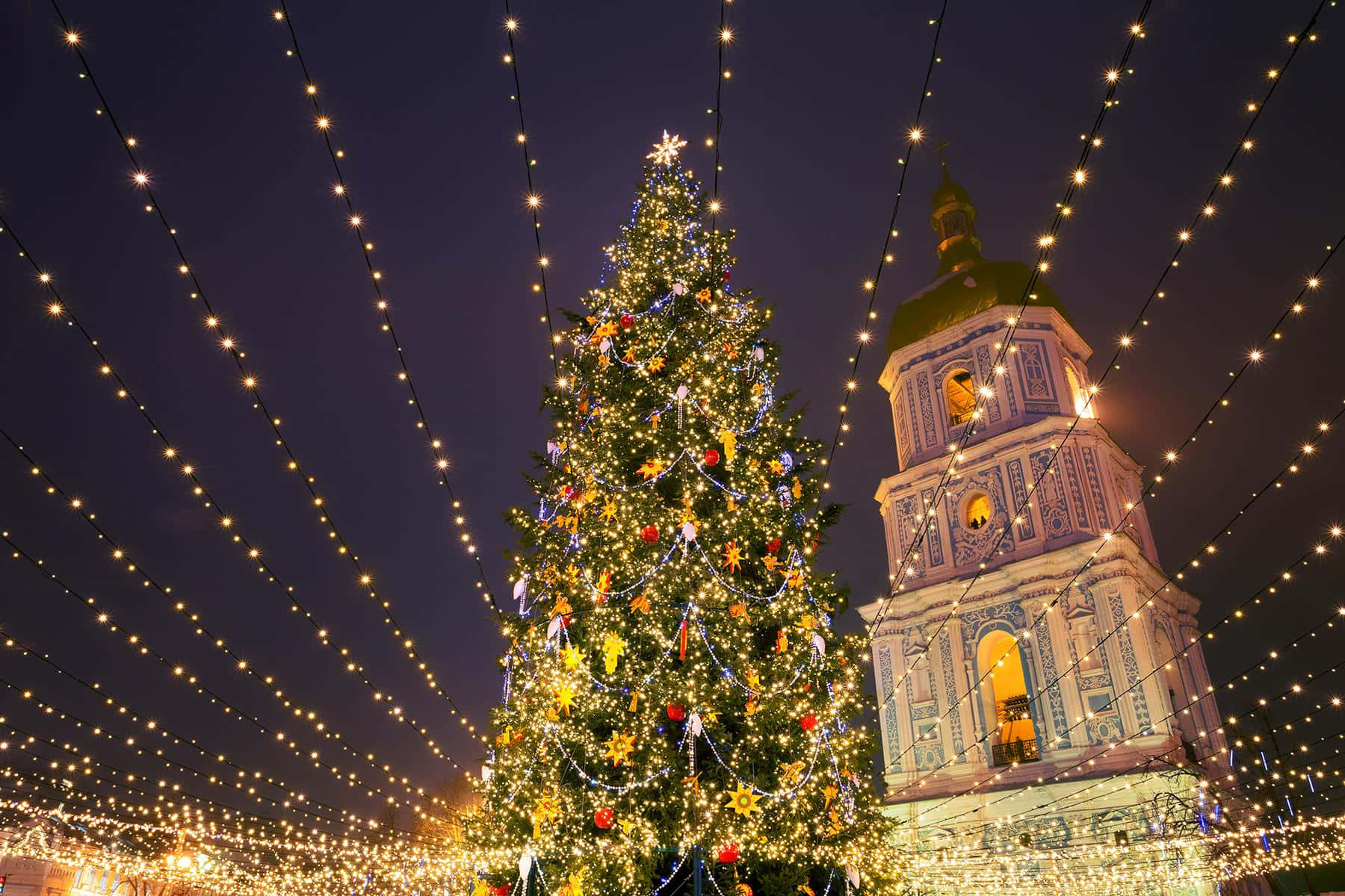 Bildmit Weihnachtsbaum-lichtern