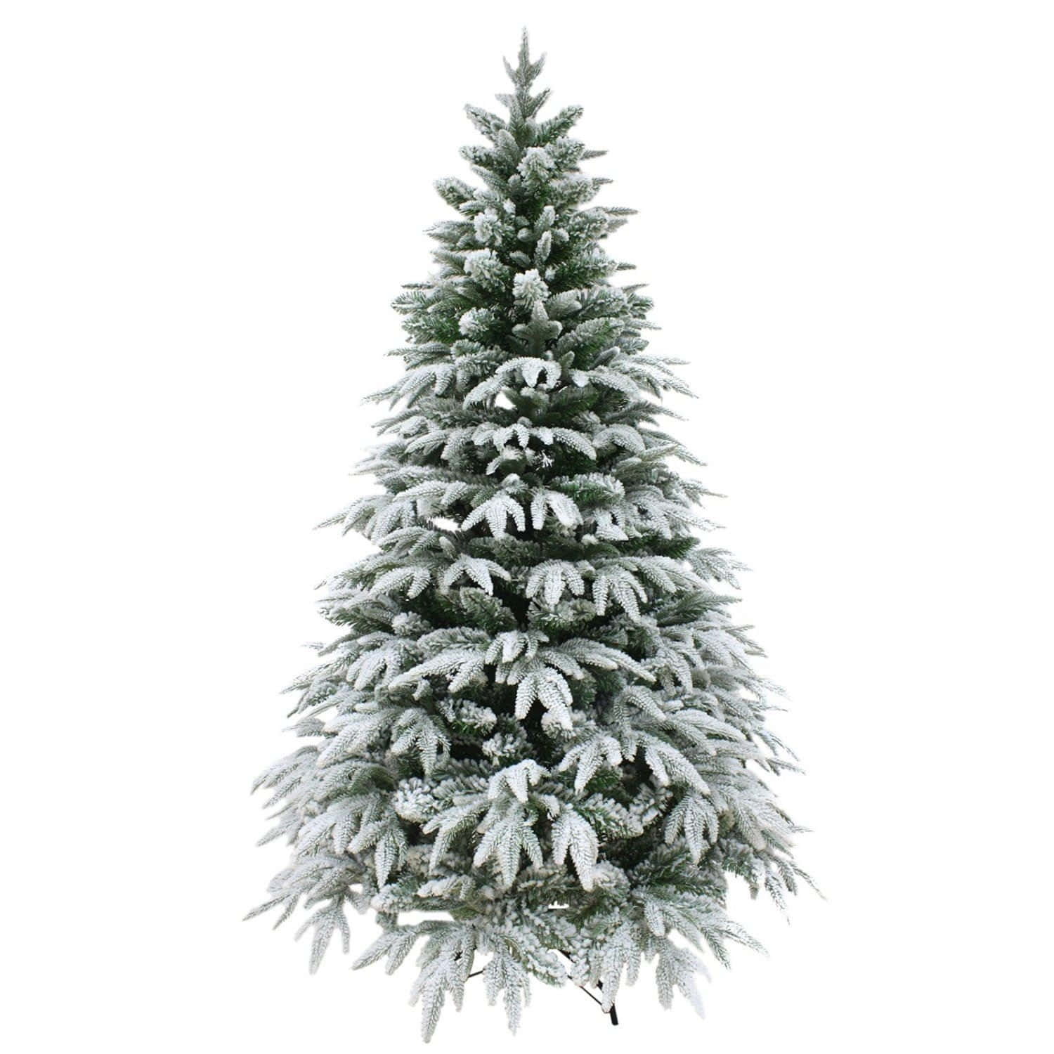 Frosted Christmas Tree Picture