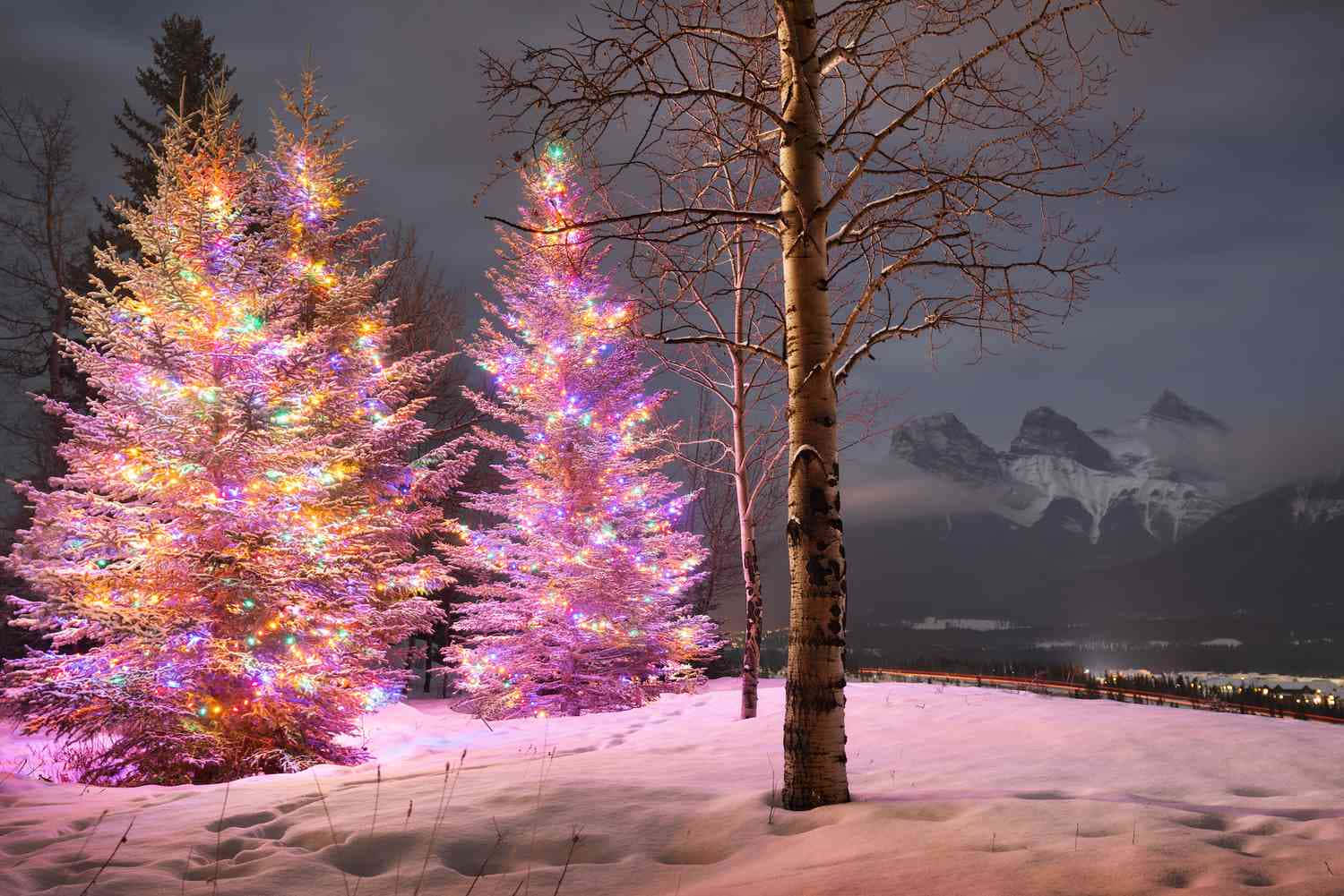 Pink Christmas Tree Snow Picture