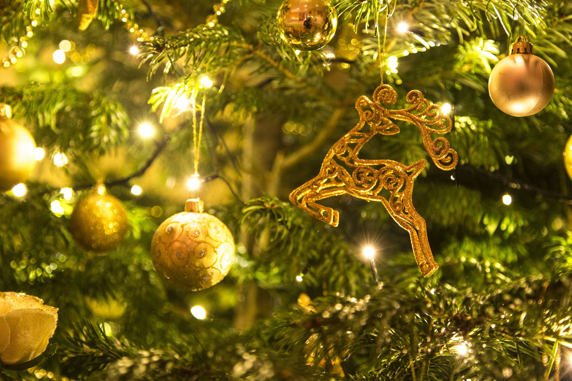 Christmas Tree With Golden Ornaments Wallpaper