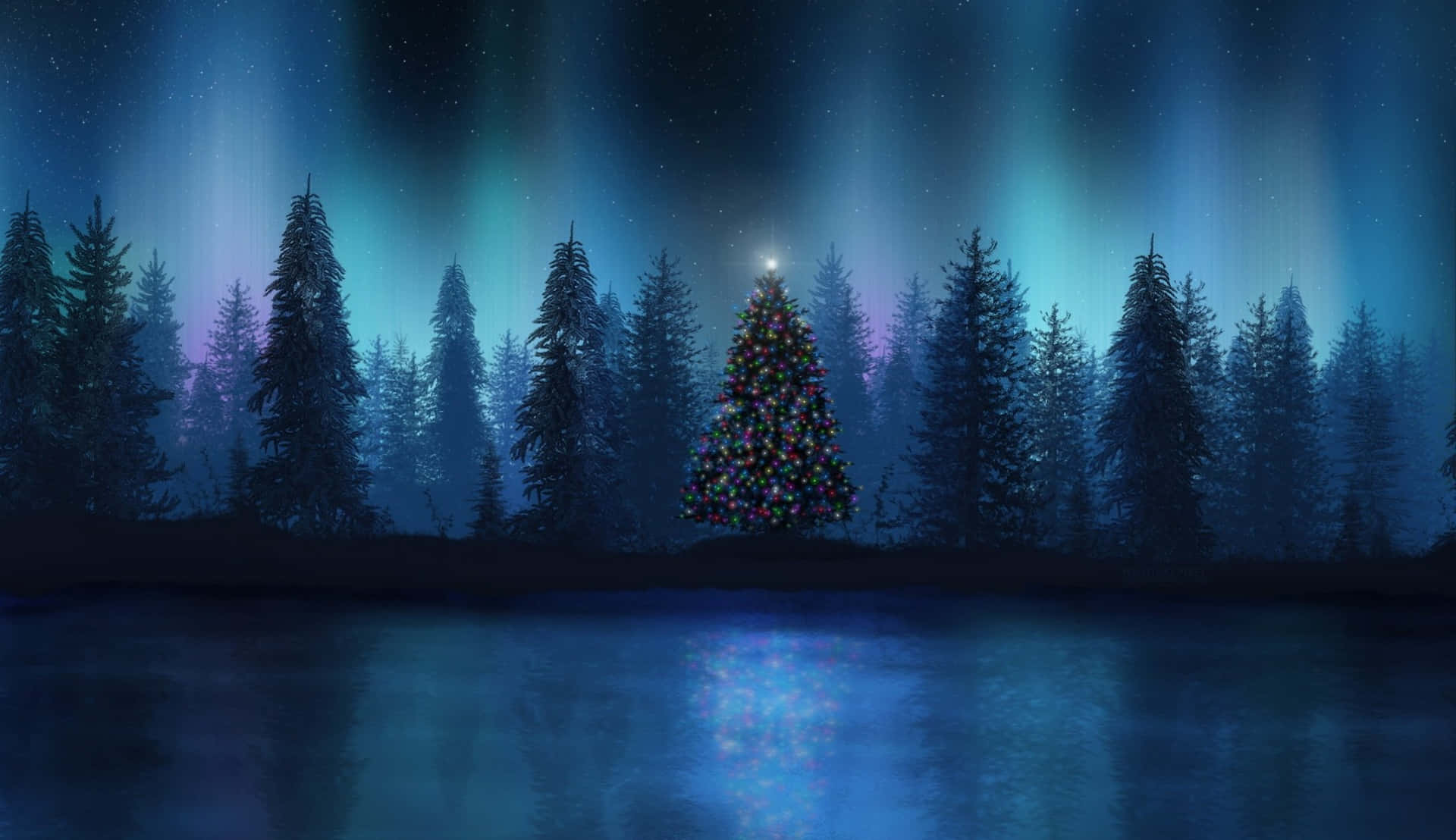 Christmas Trees Northern Lights Picture