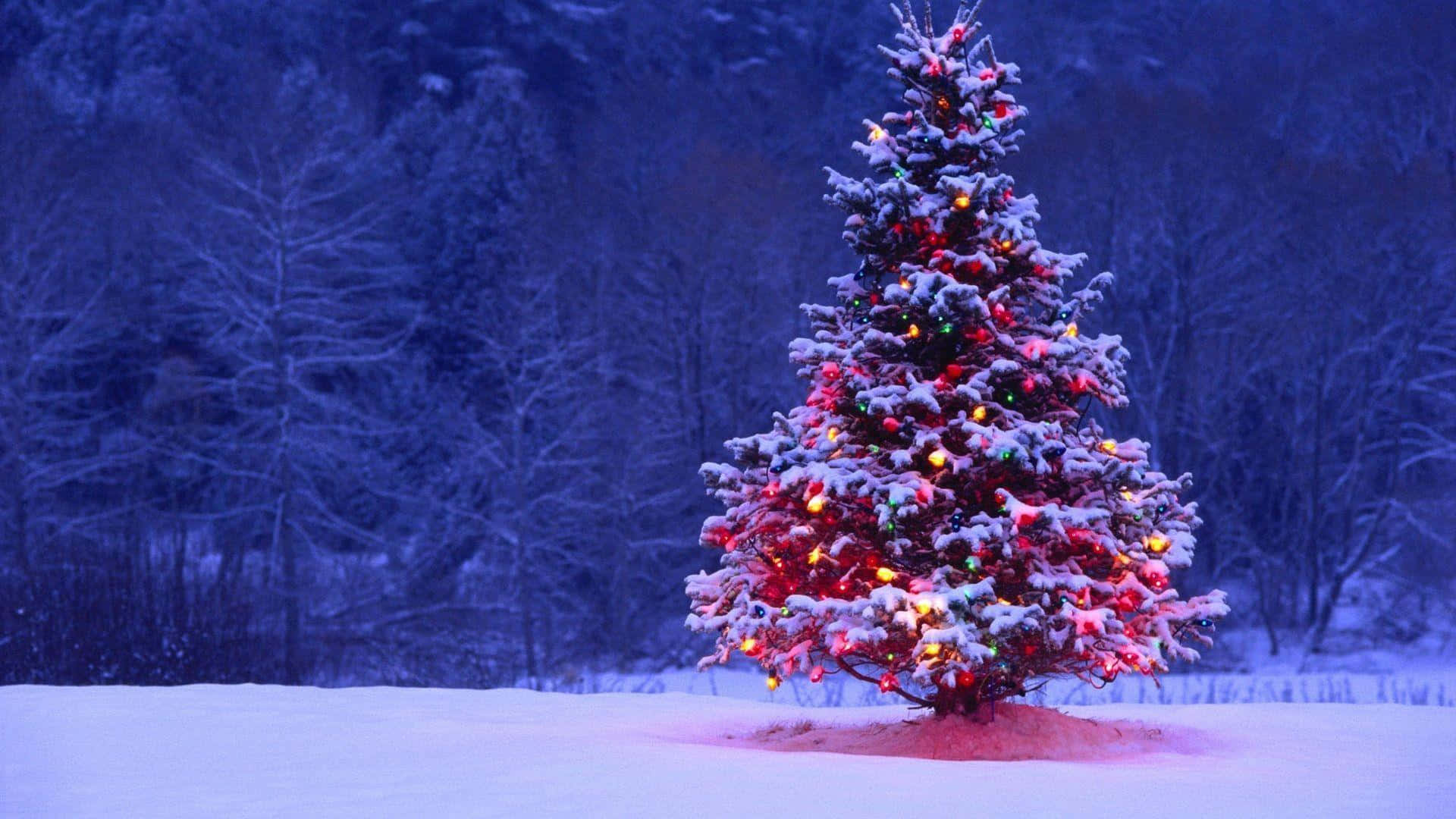 Christmas Trees Pink Decor Picture