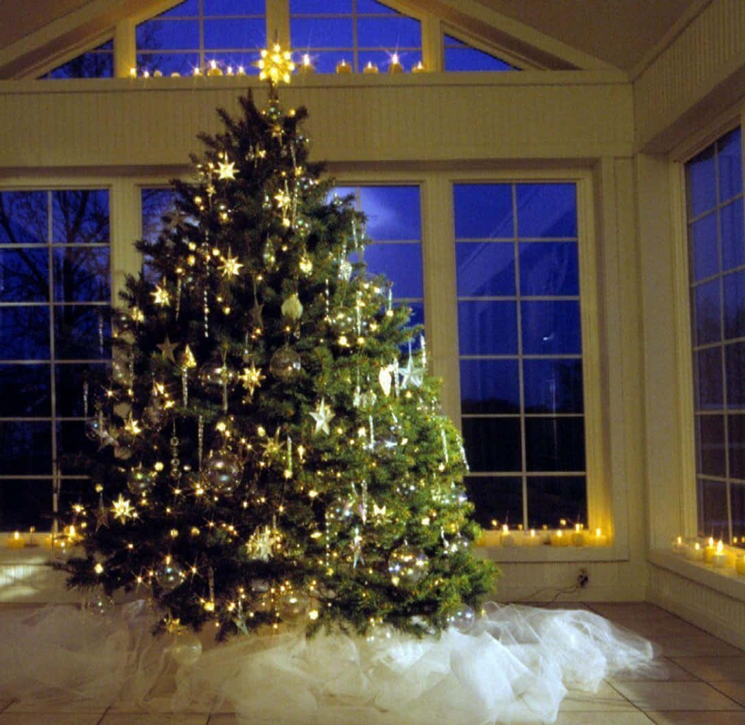 Caption: "Radiant Christmas Tree Illuminating the Room"