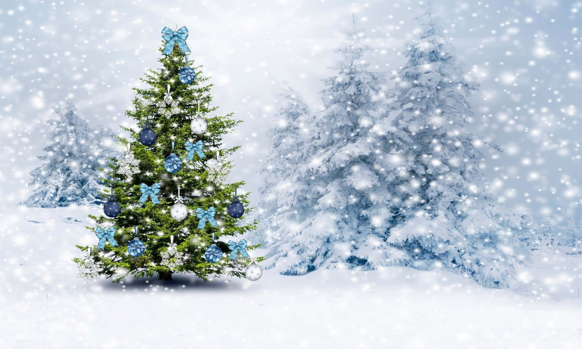 Christmas Trees Blue Decor Picture