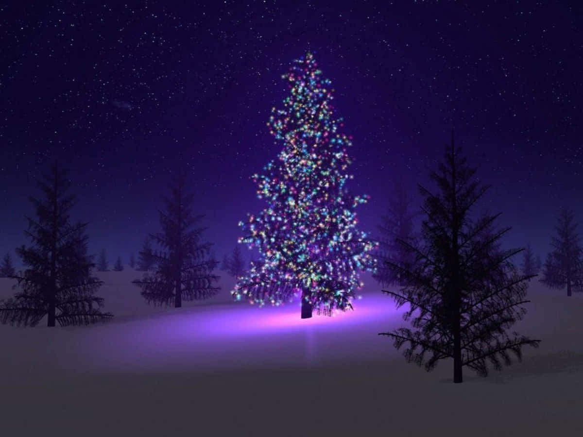 Christmas Trees Violet Lights Picture