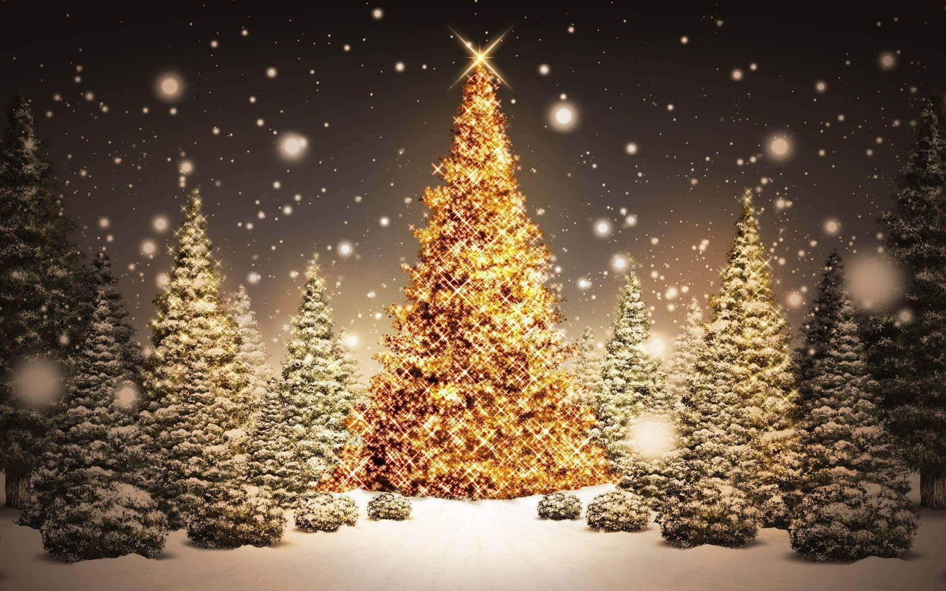 Christmas Trees Gold Lights Picture