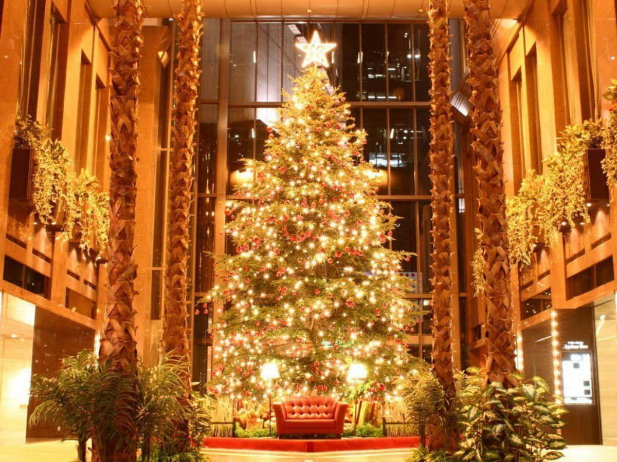 Majestic Gold Christmas Trees Picture