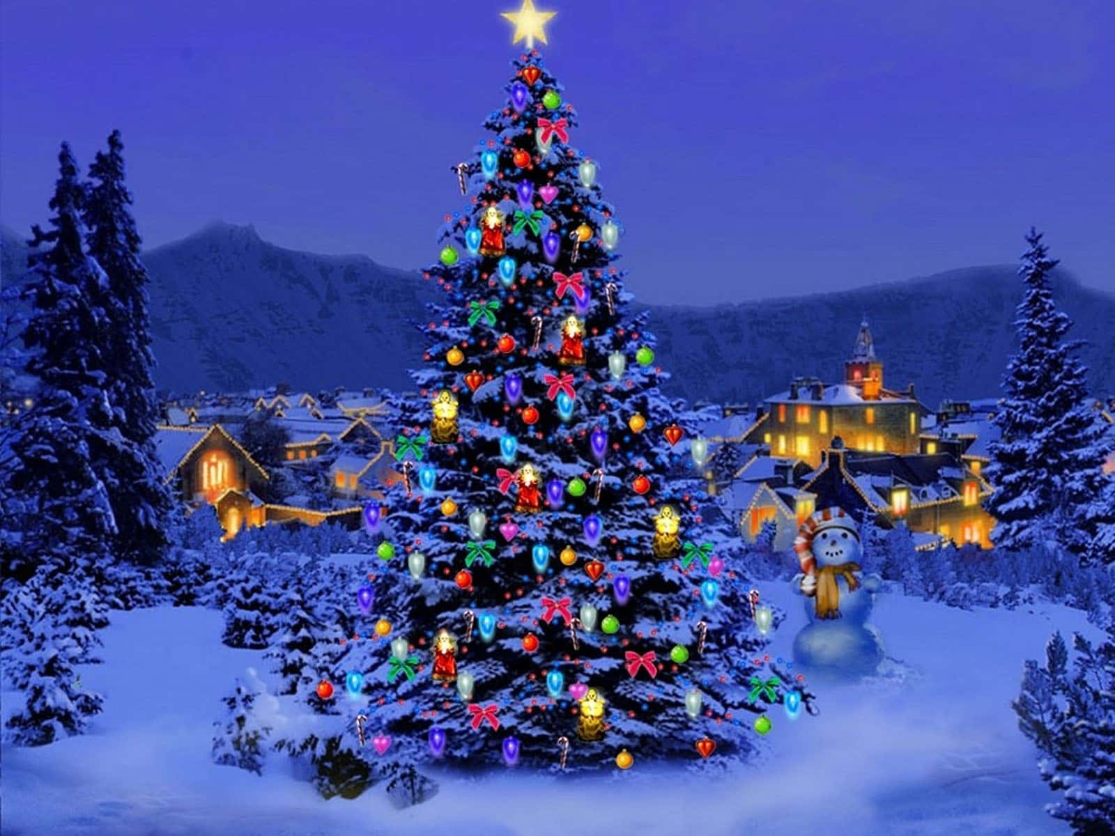 Schönesbild Von Großen Weihnachtsbäumen