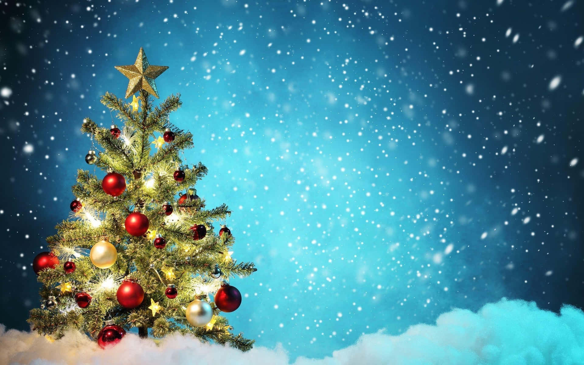 Christmas Trees Blue Background Picture