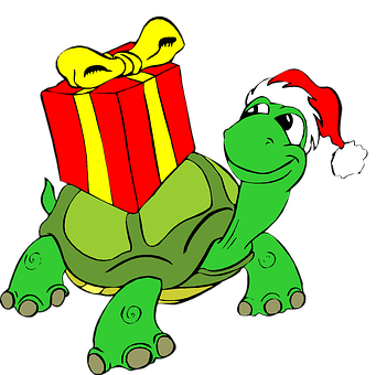 Christmas Turtlewith Gift PNG