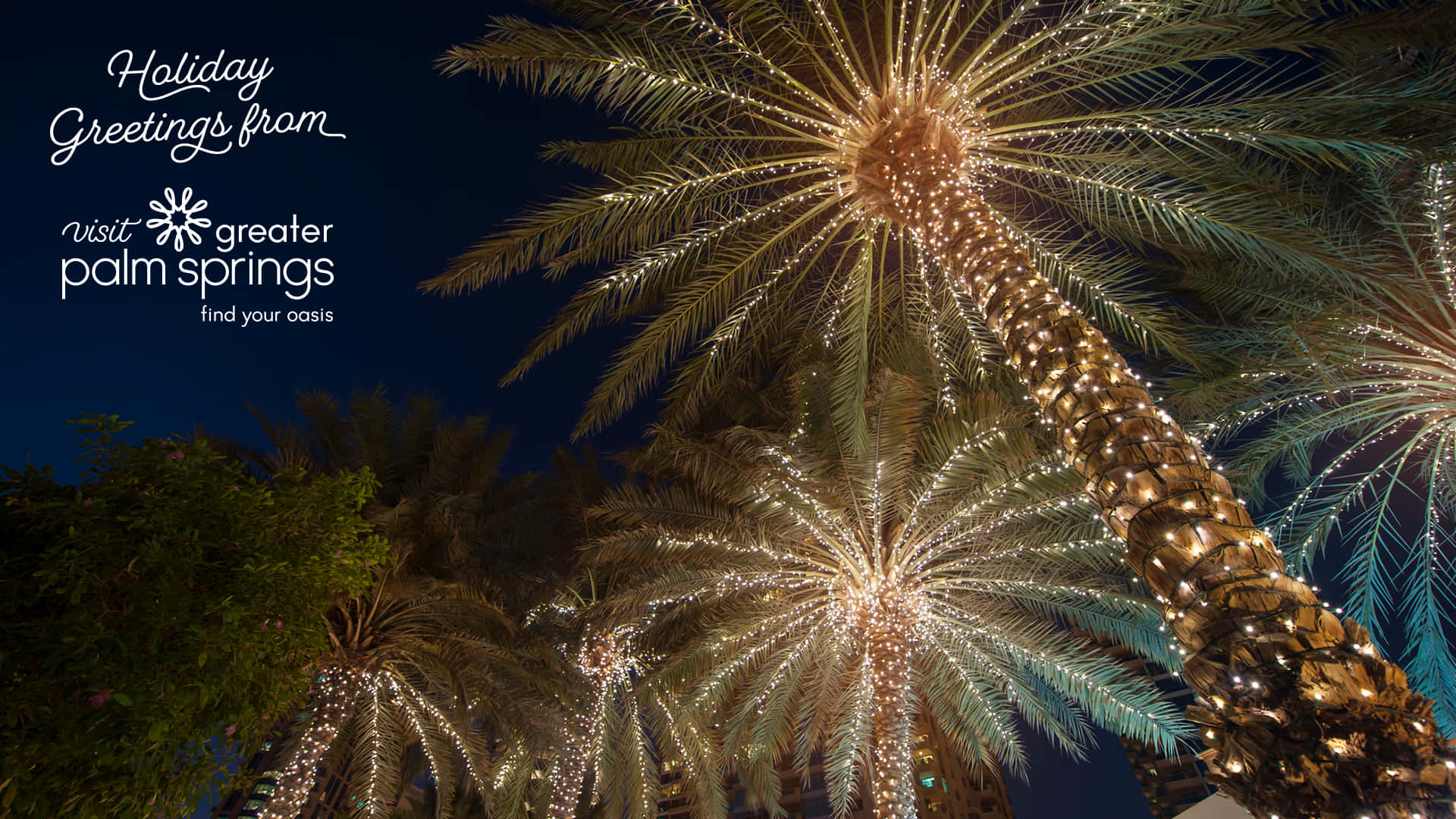 Sfondonatalizio Per Zoom: Palm Trees In Vacanza Di Natale