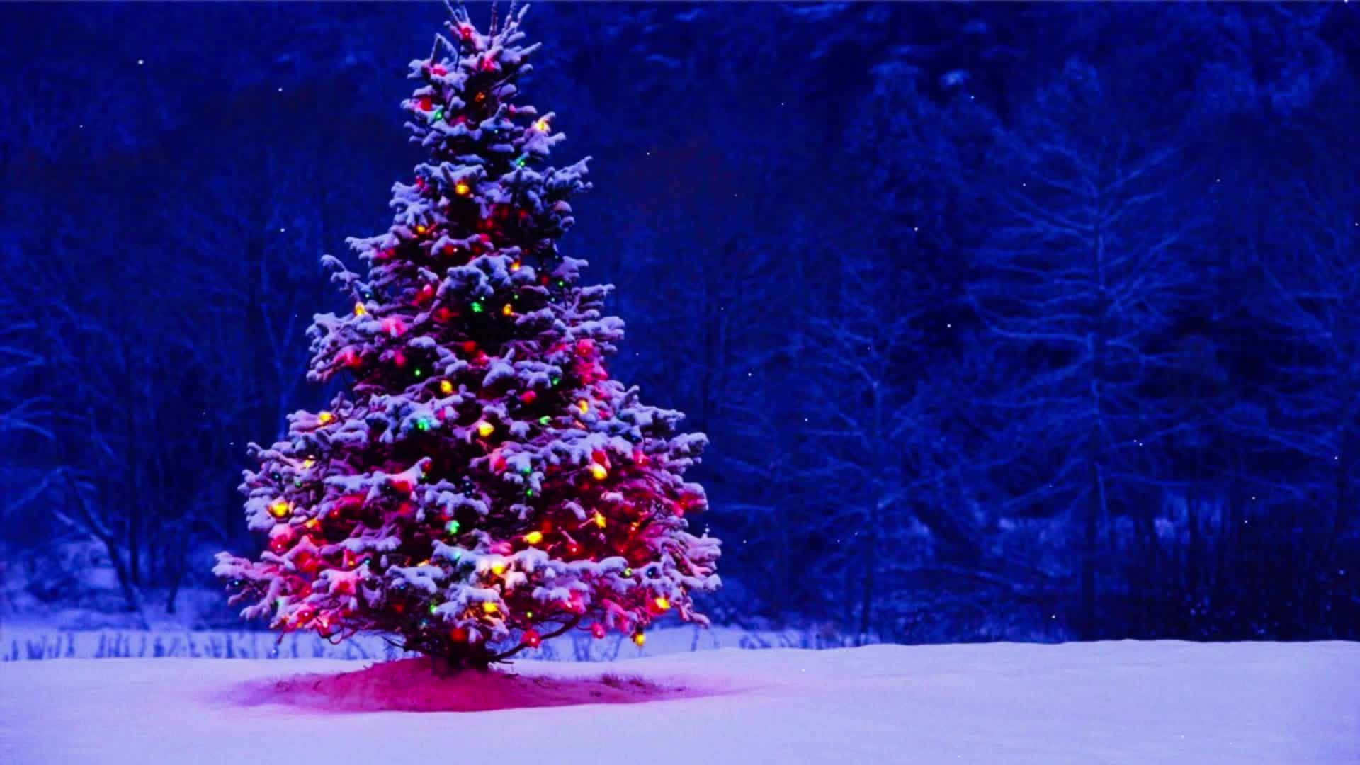 Download Christmas Vacation Zoom Background Colorful Tree | Wallpapers.com