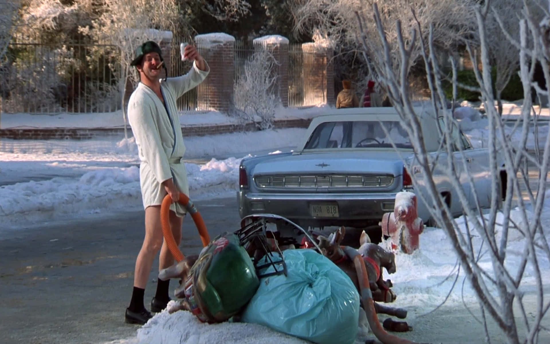 Christmas Vacation Zoom Background Robe