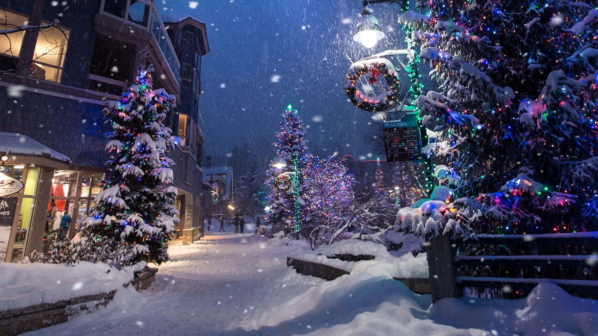 A Street With Christmas Trees And Lights In The Snow Wallpaper