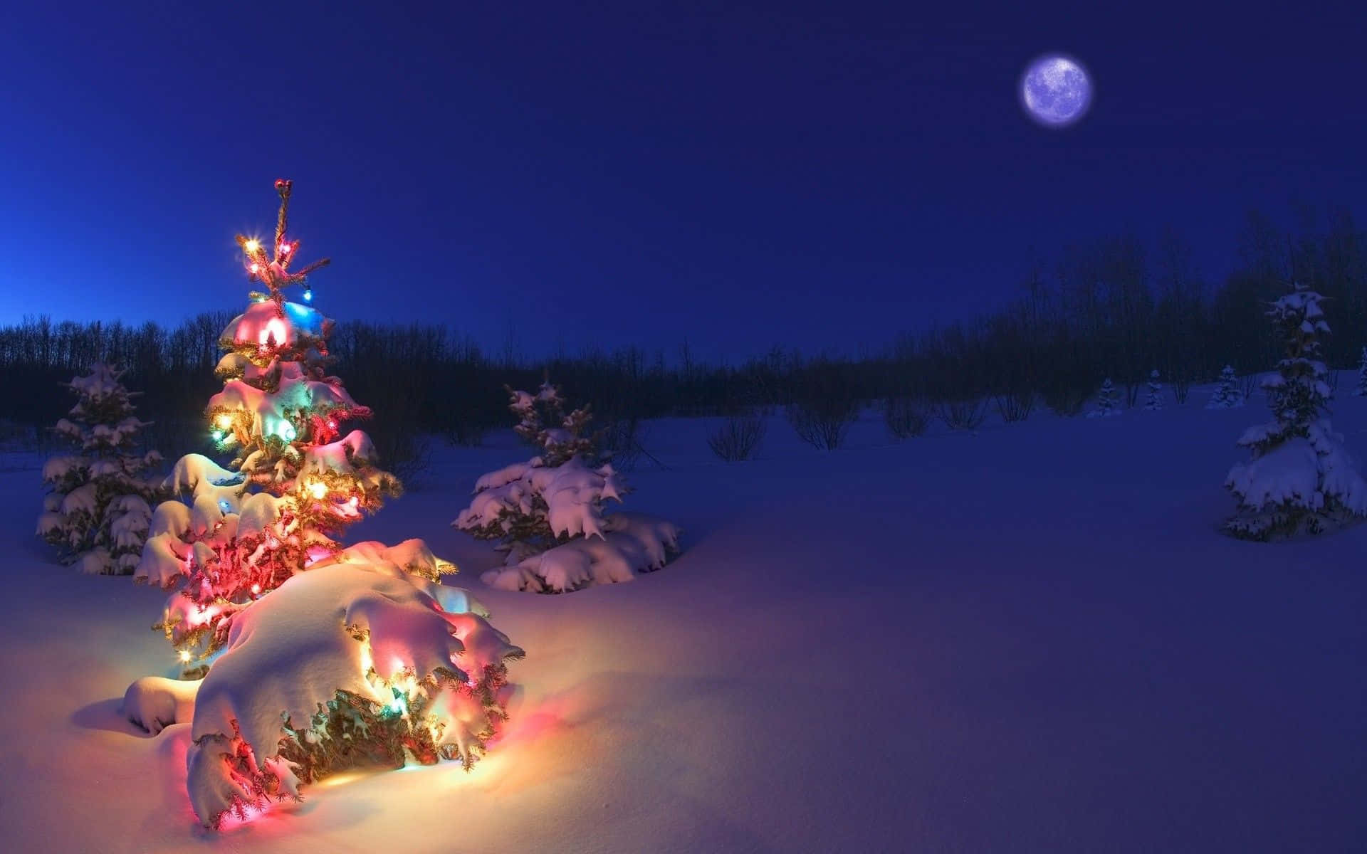 Christmas Tree In The Snow With Lights Wallpaper