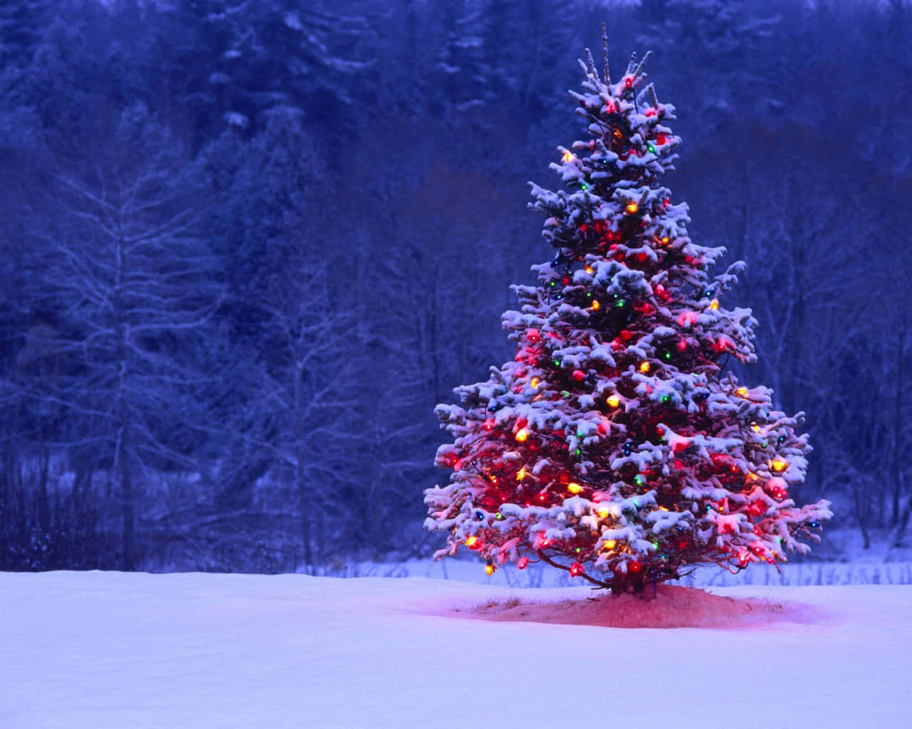 Celebrala Navidad Con Un Mágico Mundo Invernal Fondo de pantalla