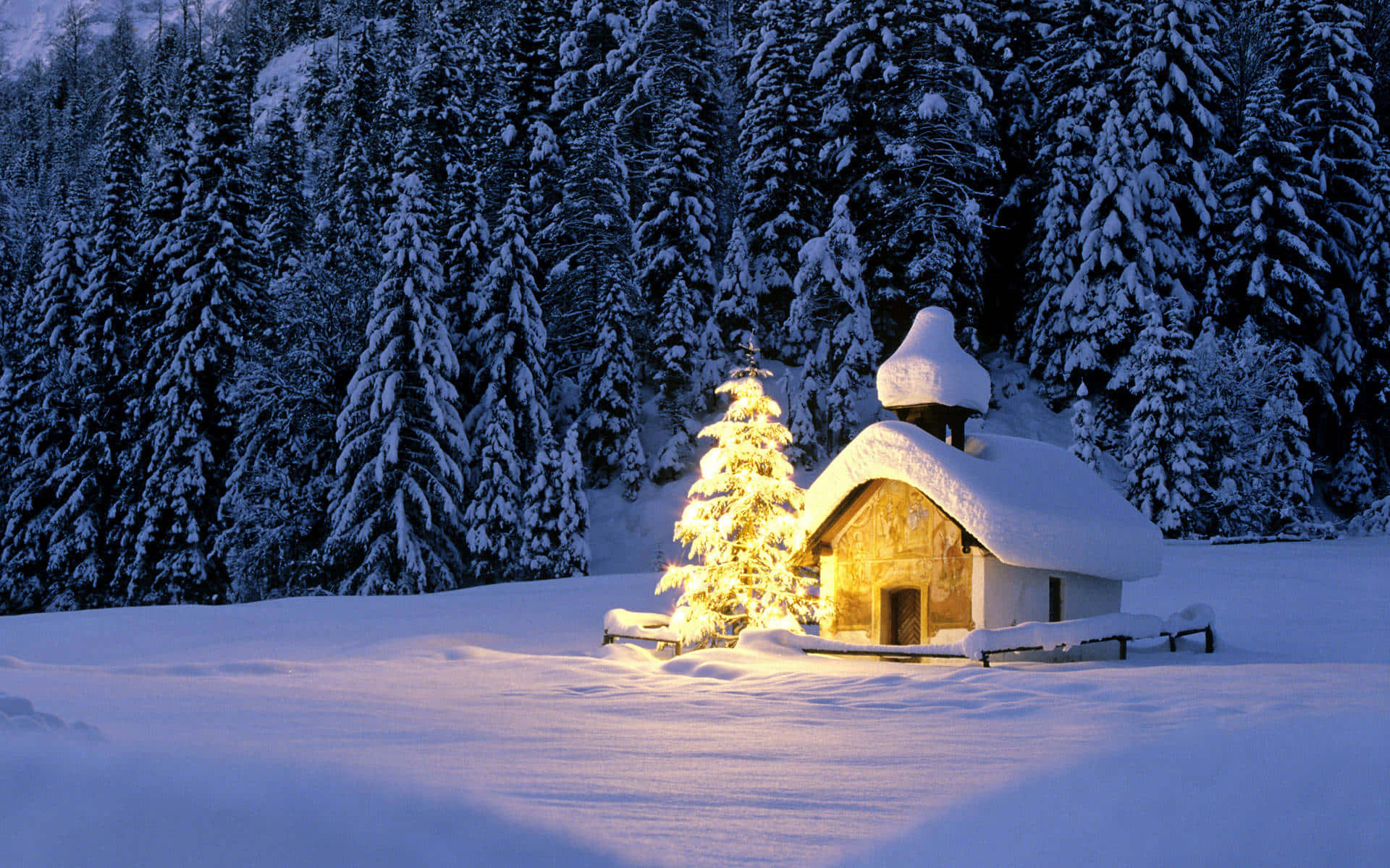 Welcome the joy of winter with a snow-covered Christmas! Wallpaper