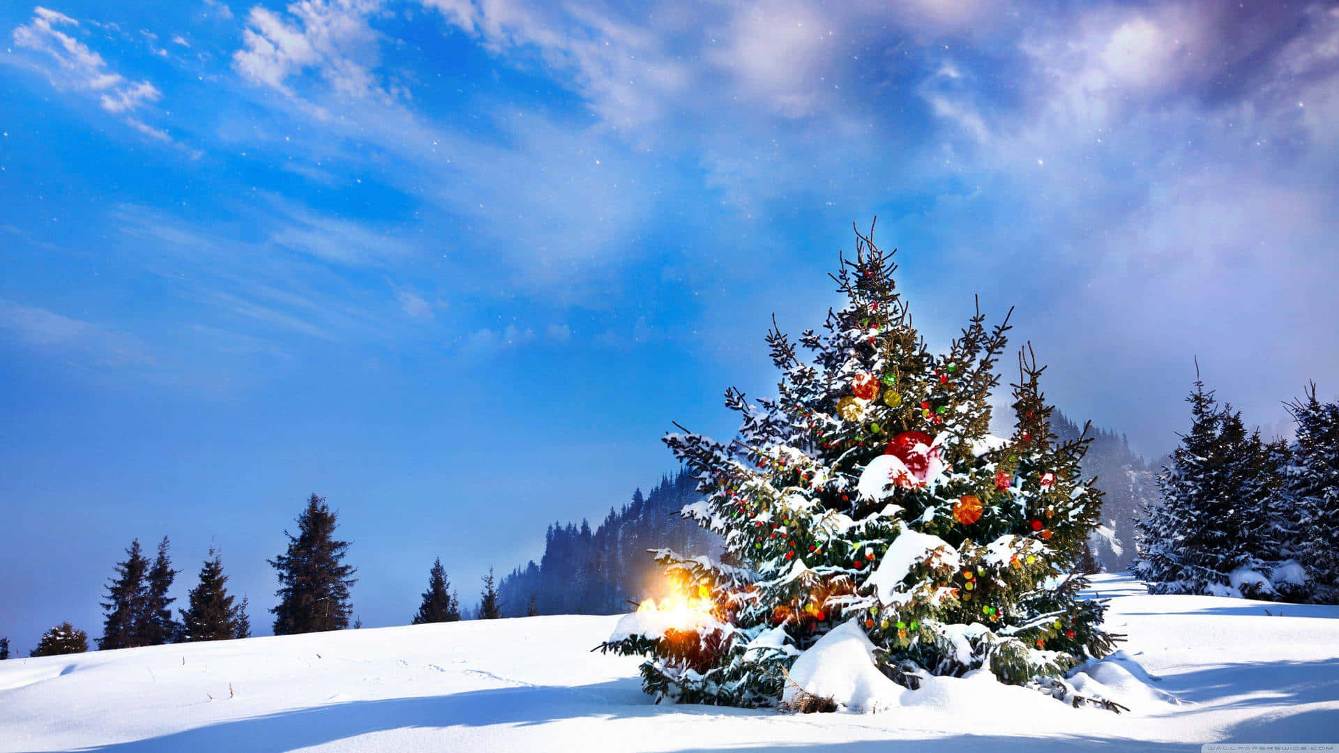 A magical winter night, perfect for celebrating the Christmas season. Wallpaper