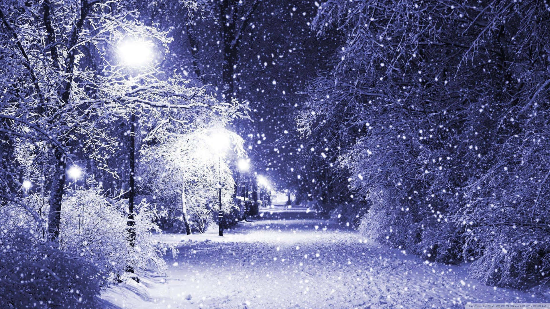 ¡dejaque Brille La Magia Del País De Las Maravillas Invernales Esta Navidad! Fondo de pantalla
