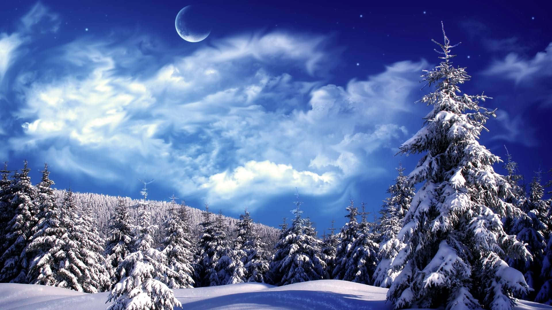 Experience the enchantment of Christmas Winter Wonderland Wallpaper
