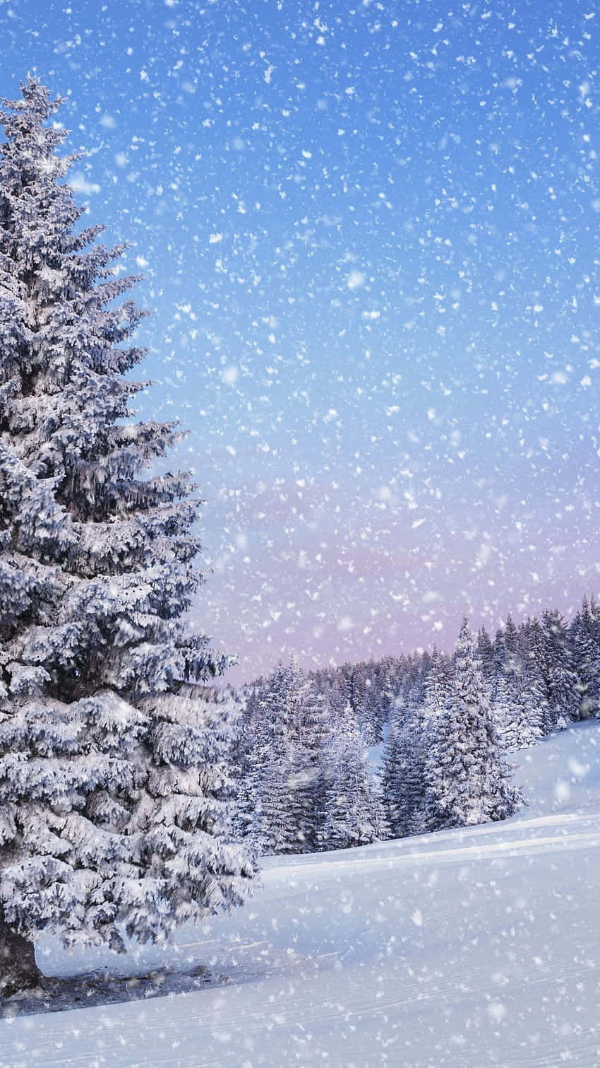 Get the festive feeling - enjoy a magical Christmas Winter Wonderland Wallpaper