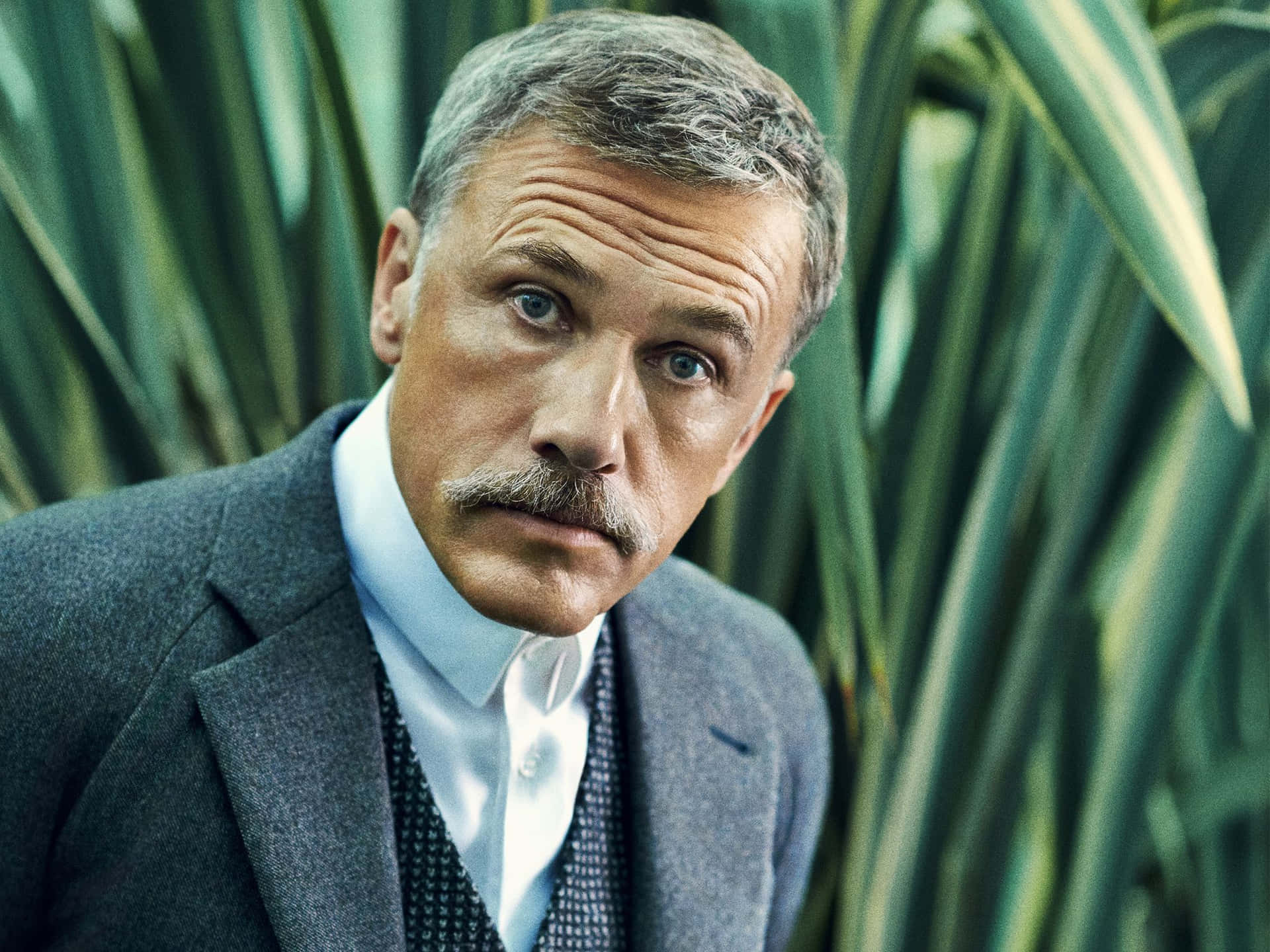 Christoph Waltz [achtergrond] Achtergrond