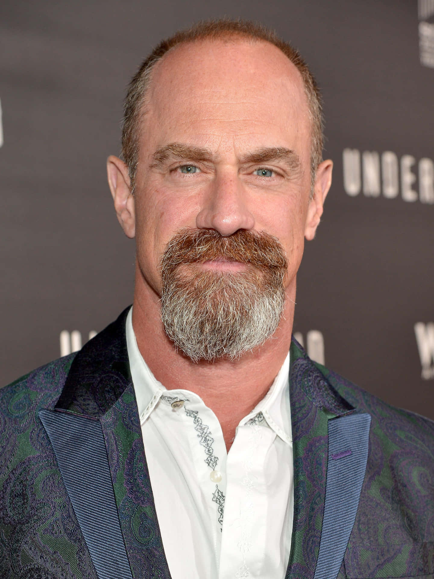 Christopher Meloni [achtergrond] Achtergrond