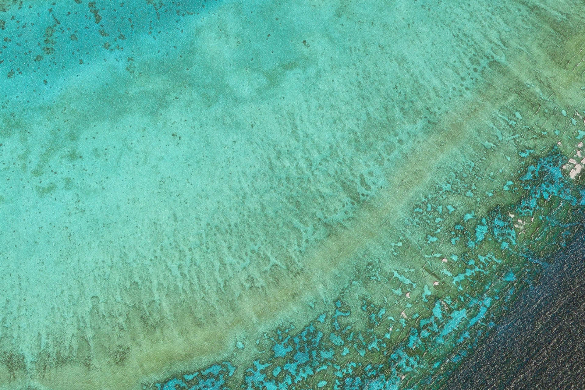 Et luftfoto af et koralrev Wallpaper